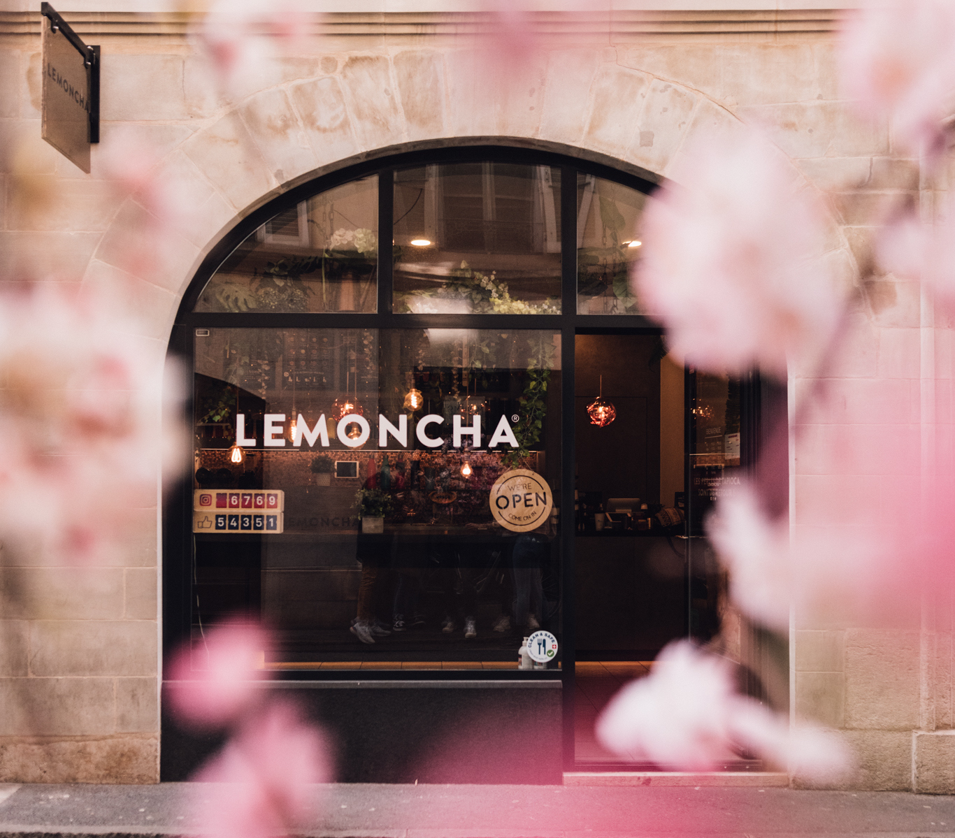 Lemoncha-Hanami-9775